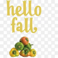 ��� ���� ���ı�-������