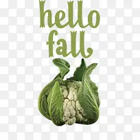 你好 秋天 蔬菜-空若网 你好 秋天 蔬菜-空若网