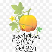 ÇïÌì ÄÏ¹Ï Ë®²Ê»-¿ÕÈôÍø ÇïÌì ÄÏ¹Ï Ë®²Ê»-¿ÕÈôÍø