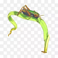 »È³æ¼ôÌù»-À¥³æ-¿ÕÈôÍø »È³æ¼ôÌù»-À¥³æ-¿ÕÈôÍø