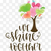 ��װ ���� �������-������