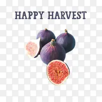 快乐收获 收获时间 天然食物-空若网 快乐收获 收获时间 天然食物-空若网