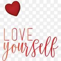 �����Լ� �� ������-������