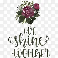 �ձ� ��װ �������-������