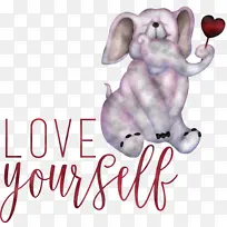 爱你自己 爱 大象-空若网 爱你自己 爱 大象-空若网