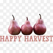 �ջ���� �ջ�ʱ����� �ջ��ʵ����-������