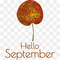 你好 九月 树-空若网 你好 九月 树-空若网