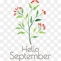 你好 九月 水彩画-空若网 你好 九月 水彩画-空若网