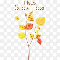 你好 九月 水彩画-空若网 你好 九月 水彩画-空若网