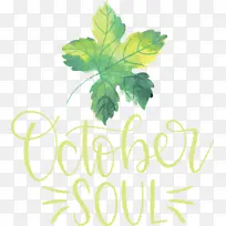 ʮԠҶ×Ó Ë®²Ê»-¿ÕÈôÍø ʮԠҶ×Ó Ë®²Ê»-¿ÕÈôÍø