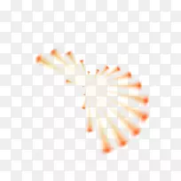 轻型摄影-空若网 轻型摄影-空若网