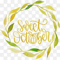 ʮ�� ���� ˮ�ʻ�-������