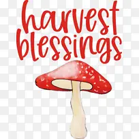 万圣节快乐 米特-空若网 万圣节快乐 米特-空若网