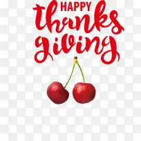 �ж��� ���� ��ȻʳƷ-������