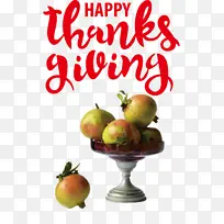 �ж��� ���� ��ȻʳƷ-������