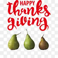 �ж��� ���� ��ȻʳƷ-������