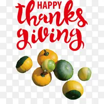 �ж��� ���� ��Ȼʳ��-������