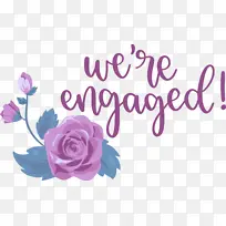 �� �� õ��-������