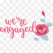 爱情 花园玫瑰 花卉设计-空若网 爱情 花园玫瑰 花卉设计-空若网