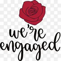 ���� õ�� ����-������