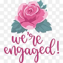 爱情 玫瑰 花朵-空若网 爱情 玫瑰 花朵-空若网