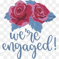 爱情 鲜花 切花-空若网 爱情 鲜花 切花-空若网