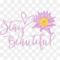 保持美丽 时尚-空若网 保持美丽 时尚-空若网