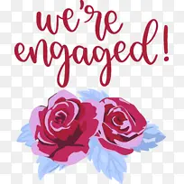 爱情 玫瑰 花园玫瑰-空若网 爱情 玫瑰 花园玫瑰-空若网