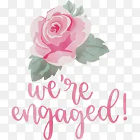 ���� ˮ�ʻ� ����-������