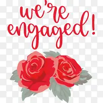 爱情 花卉设计 花园玫瑰-空若网 爱情 花卉设计 花园玫瑰-空若网