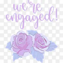 爱情 花卉设计 花园玫瑰-空若网 爱情 花卉设计 花园玫瑰-空若网