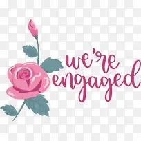 �� �������� ��������-������