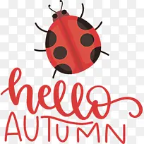 你好 秋天 昆虫-空若网 你好 秋天 昆虫-空若网