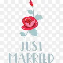 �ոս�� ���� ˮ�ʻ�-������