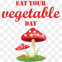 ��ֽ ˮ�� �Ǳ�-������