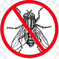 昆虫家蝇画夹艺术-第一-空若网 昆虫家蝇画夹艺术-第一-空若网