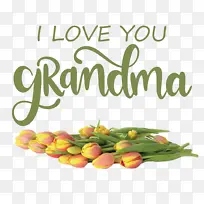 祖母节 祖母 天然食品-空若网 祖母节 祖母 天然食品-空若网