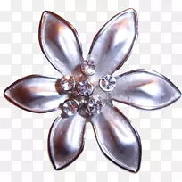 人体珠宝服装配件胸针时尚.胸针-空若网 人体珠宝服装配件胸针时尚.胸针-空若网