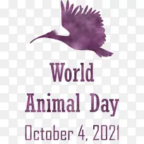世界动物日 动物日 鸟类-空若网 世界动物日 动物日 鸟类-空若网