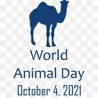 世界动物日 动物日 骆驼-空若网 世界动物日 动物日 骆驼-空若网