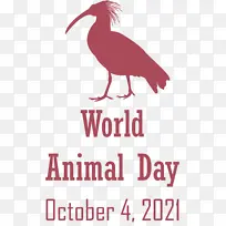世界动物日 动物日 鸟类-空若网 世界动物日 动物日 鸟类-空若网