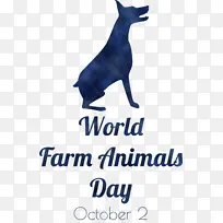 狗 鼻子 龙虾-空若网 狗 鼻子 龙虾-空若网