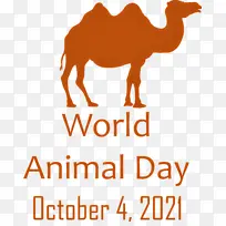 ���綯���� ������ ��������-������