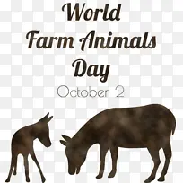 野马 龙虾 米-空若网 野马 龙虾 米-空若网