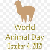 世界动物日 动物日 美洲驼-空若网 世界动物日 动物日 美洲驼-空若网