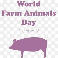 ���� ���� ��-������