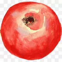 ·¬ÇÑË®²Ê»¼ôÌù»-·¬ÇÑ-¿ÕÈôÍø ·¬ÇÑË®²Ê»¼ôÌù»-·¬ÇÑ-¿ÕÈôÍø