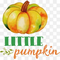 С�Ϲ� �ж��� ����-������