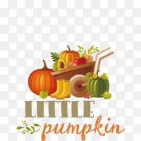 小南瓜 感恩节 秋天-空若网 小南瓜 感恩节 秋天-空若网