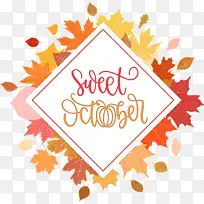 ʮ�� ���� ˮ�ʻ�-������